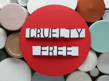 best-cruelty-free-makeup-brands