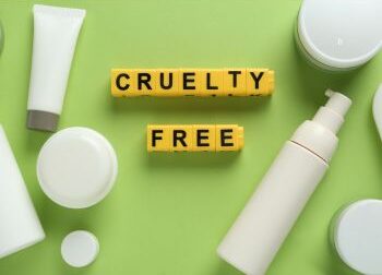 best-cruelty-free-makeup-brands